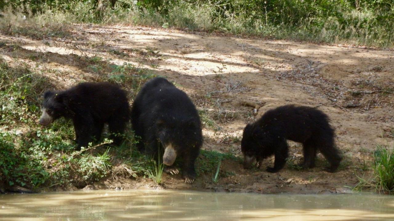 Kele Yala Villa Kültér fotó